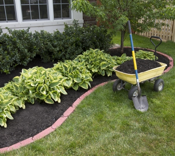 gardening-landscaping