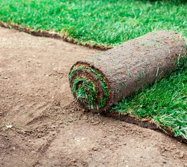 soil-coating-with-green-rolls-lawn
